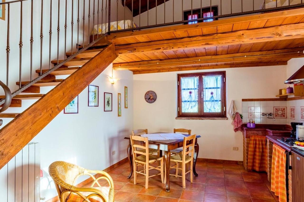 Agriturismo Il Feudo Hostal Grosseto Exterior foto